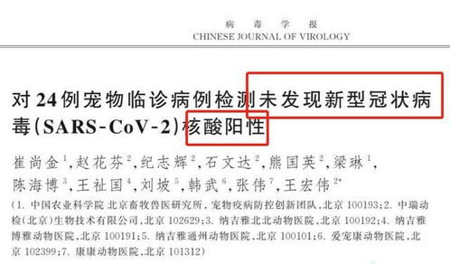 新冠检查出弱阳（新冠检查出弱阳会传染吗） 第1张