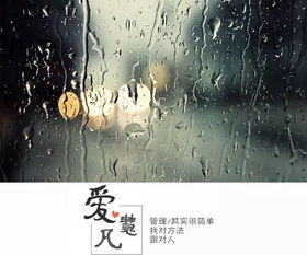 大雨过后有两种人,你是哪一种