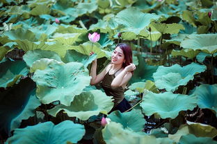 最不合群的四个星座,水瓶座天生冷感,天蝎座孤芳自赏