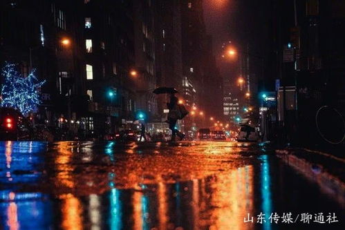 山东聊城下了一天雨,别急,一场大雪正在酝酿,明天夜间见分晓