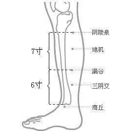 养生保健操,保脾养胃的小妙招