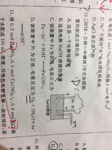 镁铝做电极,氢氧化钠为电解质溶液的原电池电极反应方程式 