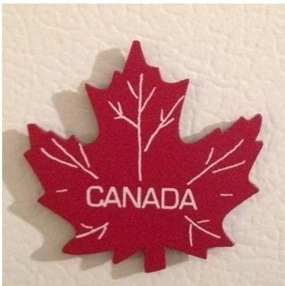 加拿大旅游签证办理