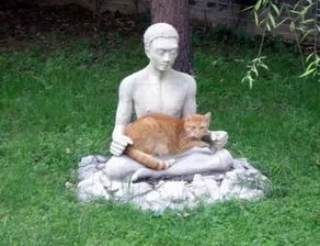 阿弥陀佛 当猫咪遇上佛法,萌的不要不要的