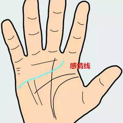 无名指长痣代表什么,手上长痣有什么含义
