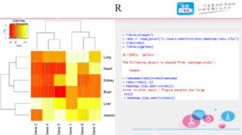 如何用graphpad画heat map