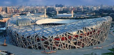 此鸟巢是世界上最大的,不是北京的人工建筑,而是小鸟搭建 