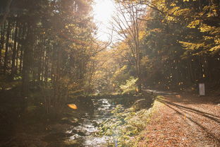 羌笛秋声湿塞烟，一幅塞北秋色的诗意画卷，洛桥晴影覆江船,羌笛秋声湿塞烟的意思