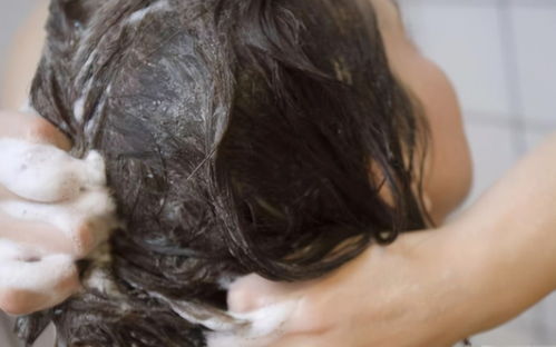 多久洗一次头胎是最正常的呢 头发需要 天天洗 吗