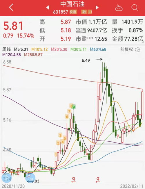 中石油股票最高是多少