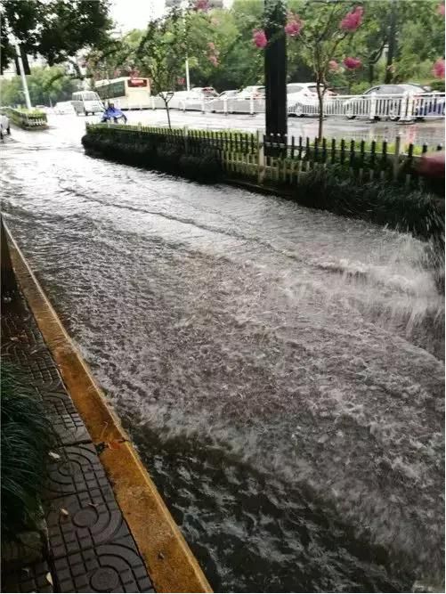 超强台风来了 萧山今晚有大到暴雨 还要连下3天... 