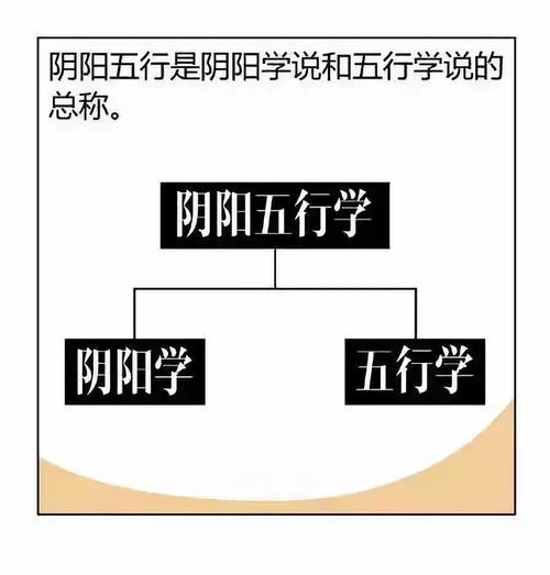 建议收藏 看图学 易 阴阳五行 