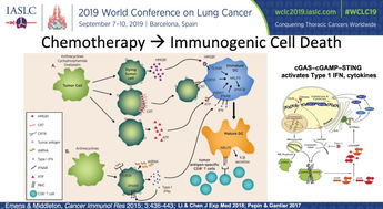 化疗联合免疫 从机制解析到临床策略丨WCLC 2019