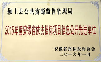 安徽省招投标信息网,安徽省招投标信息网属于什么类型