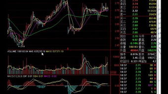 炒股要怎样炒?怎样买股票的?