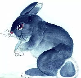 属相兔的摩羯座 属相兔的摩羯座女生性格