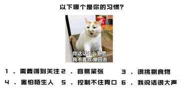 猫咪日常一集就2分钟(猫几分钟)