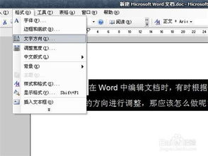 word2003怎么调整文字方向 1 