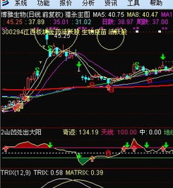 如何在通达信中设置资金查看和筹码查看