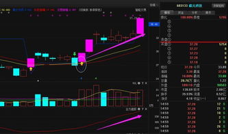 学什么专业毕业后对口的是股票，操盘手相关的工作