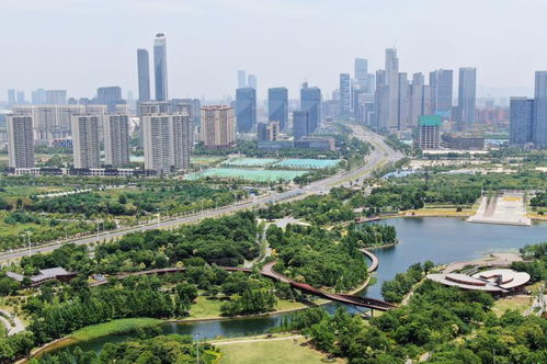 绿意盎然的古都南京，历史与生态共绘的城市绿洲画卷