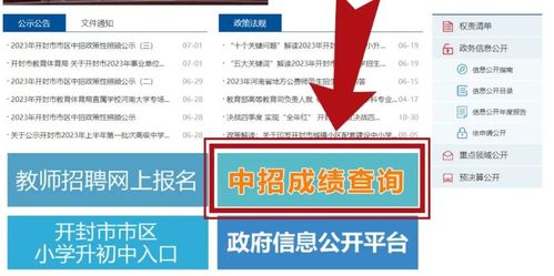 2023河南中考分数查询，河南中招分数在哪里查