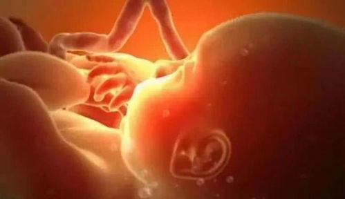 孕妇平躺着睡觉时,腹中的胎儿在干嘛 看完满满的愧疚感