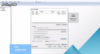 虚拟机Linux的IP怎么看(查看vm虚拟主机ip)