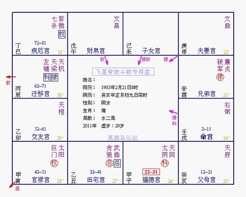 周老师讲田宅与交友 2011年命例 紫微易经周星飞制