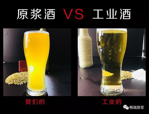 抖音啤酒报白多少钱(抖音一个啤酒主播能挣多少钱)