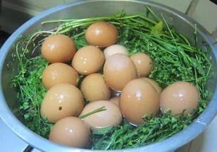 艾叶煮鸡蛋怎么煮，艾叶煮鸡蛋的正确做法