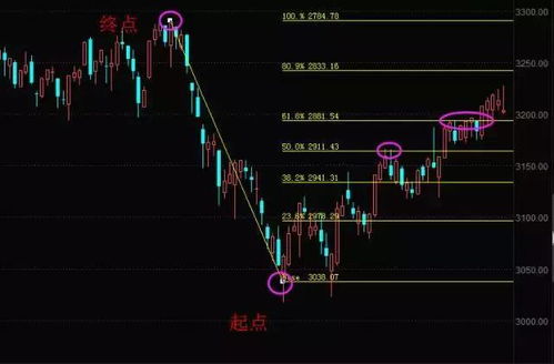 巧用黄金分割线 找股票买卖点 