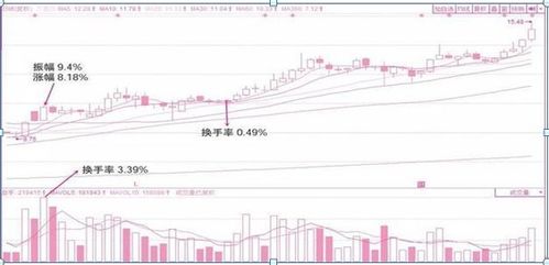 股票每天大单买卖的机构或证券所，网上哪里能查到？