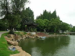 南京白鹭洲公园西门附近免费停车场在哪里(南京免费景区停车场在哪里)