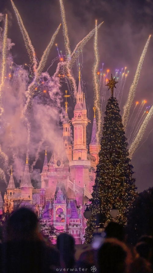 迪士尼城堡手机壁纸夜