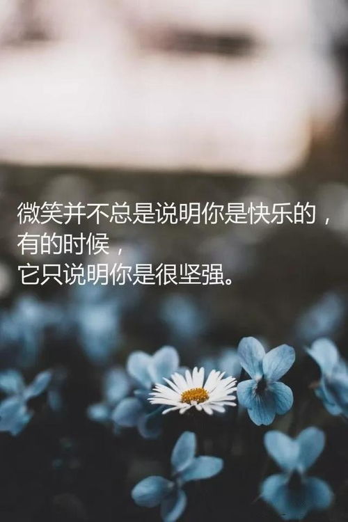 精辟的人生感悟经典语句,句句哲理触动心灵