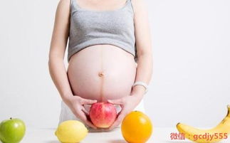 试管婴儿移植之前，孕妈妈有什么要注意的？