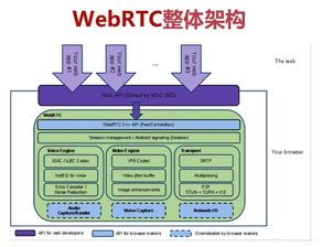 理论框架查重率太高怎么办？