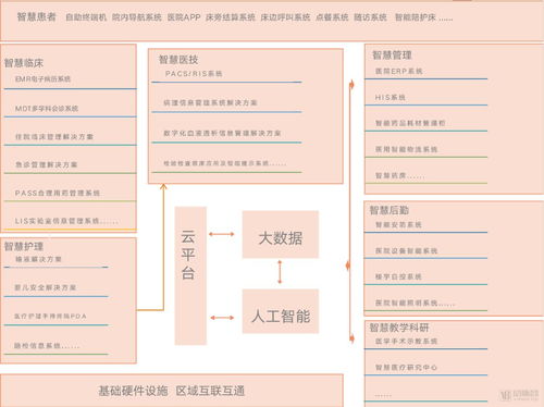 大智慧软件能炒权证吗？