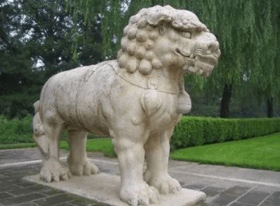 中国不产狮子,为什么会有石狮子和舞狮文化