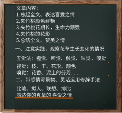 快来领取秋天的第一节网课啦