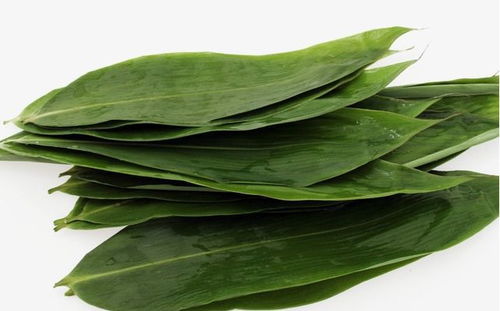 粽叶是什么植物的叶子 包粽子的粽叶是干的好,还是新鲜的好