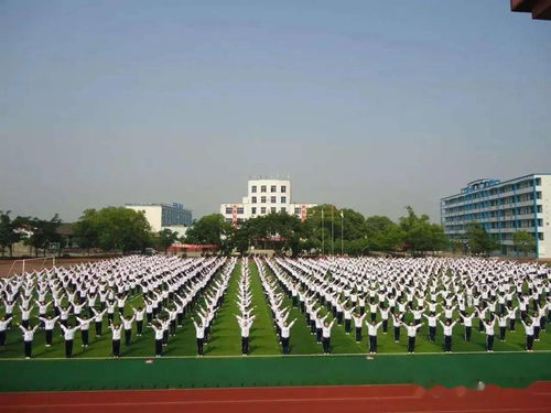 武陟县职业技术学校怎么样呀