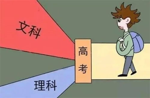 高中文理科如何选 强项 兴趣 职业等参照缺一不可,要慎重