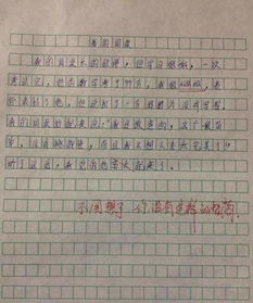 凭实力走红4篇小学生作文,语文老师 建议直接保送中文系研究生 