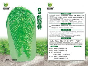 种这白菜籽,抗病又高产,简直太值了 