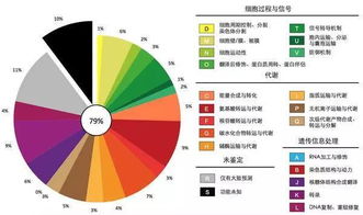 如何让毕业论文中的插图表格变得高大上 