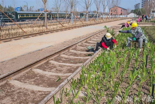 武昌生态文化长廊今年底建成,感受铁路文化 回忆杀