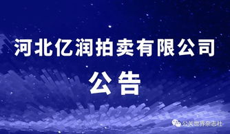 关于河北亿润网拍平台系统漏洞导致超低价成交事件的公告