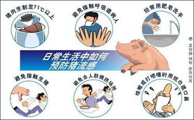 新型猪流感病毒怎么预防